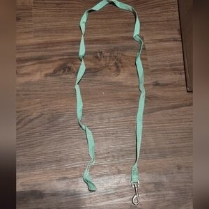 Mint Green Dog Leash